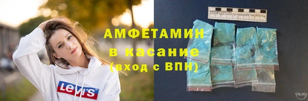 ГАЛЛЮЦИНОГЕННЫЕ ГРИБЫ Калининец