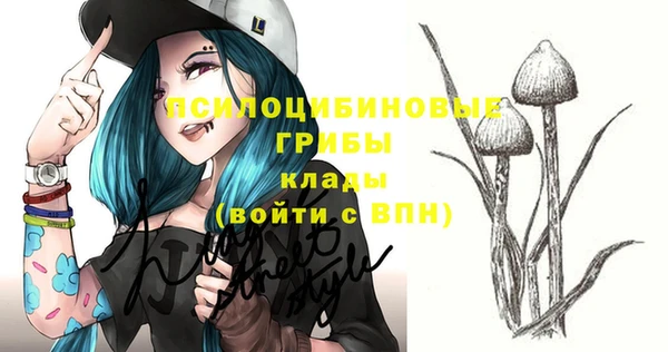 бутират Каменногорск
