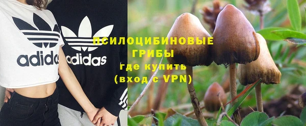 бутират Каменногорск