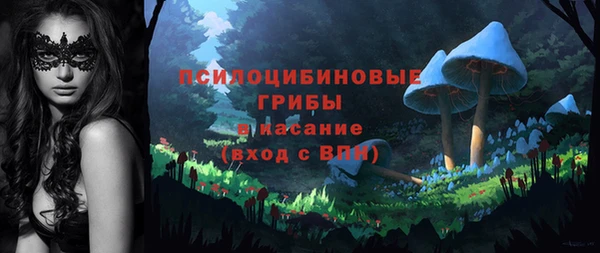 бутират Каменногорск