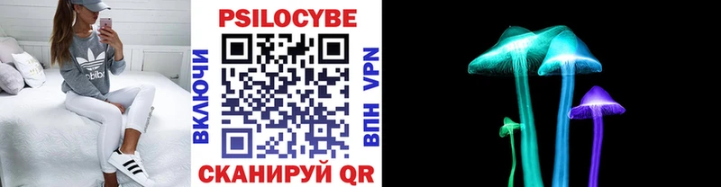 Галлюциногенные грибы Psilocybine cubensis  Купить где  Мариинск 